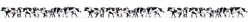 Walthers 6092 HO Cows Black and White pkg(21)