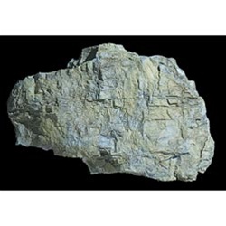 Woodland C1240 Rock Mold Rock Mass