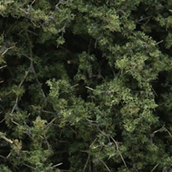 Woodland F1131 Fine Leaf Foliage Medium Green/75 cu. in.