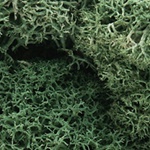 Woodland L162 Lichen Bag Light Green/82 cu. in.