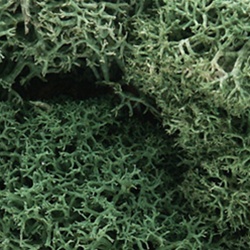 Woodland L162 Lichen Bag Light Green/82 cu. in.