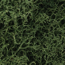 Woodland L163 Lichen Bag Medium Green/82 cu. in.