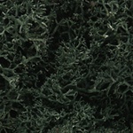 Woodland L164 Lichen Bag Dark Green/82 cu. in.