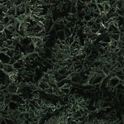 Woodland L164 Lichen Bag Dark Green/82 cu. in.