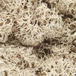 Woodland L166 Lichen Bag Natural/82 cu. in.