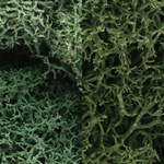 Woodland L167 Lichen Bag Light Green Mix/165 cu. in.