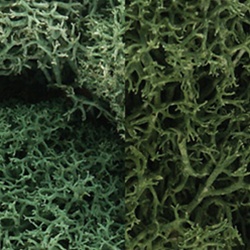 Woodland L167 Lichen Bag Light Green Mix/165 cu. in.