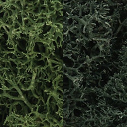 Woodland L168 Lichen Bag Dark Green Mix/165 cu. in.