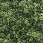 Woodland T1364 Coarse Turf Shaker Medium Green/50 cu. in.