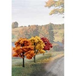 Woodland TR1577 Value Trees Fall Mix 3-5" 14 