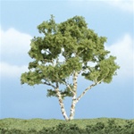 Woodland TR1601 Premium Birch Tree 4"