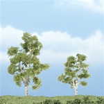 Woodland TR1603 Premium Sycamore Tree