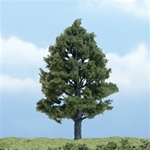 Woodland TR1608 Premium Sweetgum Tree