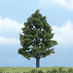 Woodland TR1608 Premium Sweetgum Tree