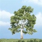 Woodland TR1609 Premium Sycamore Tree