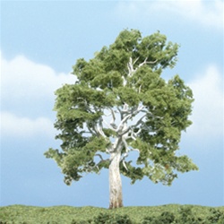 Woodland TR1609 Premium Sycamore Tree