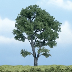 Woodland TR1610 Premium Maple Tree