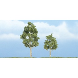 Woodland TR1612 Premium Aspen Tree 3"/