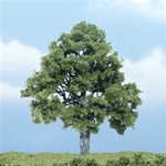 Woodland TR1615 Premium Beech Tree 4"