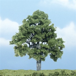 Woodland TR1615 Premium Beech Tree 4"