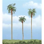 Woodland TR1617 Premium Royal Palm Tree