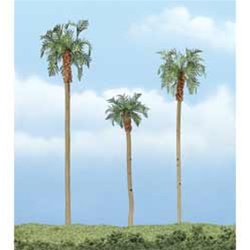 Woodland TR1617 Premium Royal Palm Tree