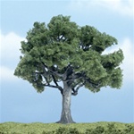 Woodland TR1622 Premium Walnut Tree 4"