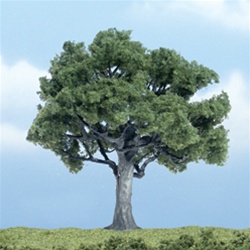 Woodland TR1622 Premium Walnut Tree 4"
