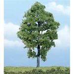Woodland TR1623 Premium Hickory Tree 5