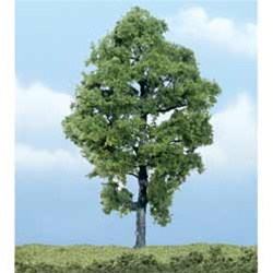 Woodland TR1623 Premium Hickory Tree 5