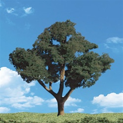 Woodland TR3511 Classics Tree Cool Shade 4-5" 3 