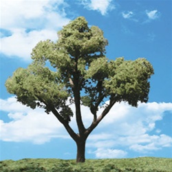Woodland TR3512 Classics Tree Early Light 5-6" 2 