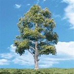 Woodland TR3539 Classics Tree Waters Edge 8-9" 2 