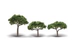 Woodland TR3555 Canopy Trees 2.3-3" 3 