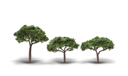 Woodland TR3555 Canopy Trees 2.3-3" 3 