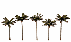 Woodland TR3597 Classics Tree Palm 3-3.75" 5 