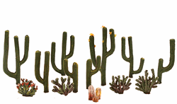 Woodland TR3600 Classics Tree Cactus .5-2.5" 13 